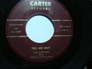 RARE- THE ROCKERS W/ EMMETT CARTER COMBO on CARTER 3029 DOO WOP 45 HEAR IT