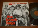 BEACH BOYS - COTTONFIELDS , PORTUGAL EP RARE UNIQUE BRIAN WILSON
