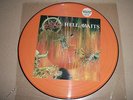 Slayer -Hell Awaits ORIGINAL picture disk LP  Exodus