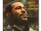 MARVIN GAYE WHAT'S GOING ON ORIG TAMLA TS310 SOUL LP GATEFOLD COVER/NM VINYL EX