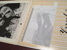 CHEECH AND CHONG BIG BAMBU LP WITH ROLLING PAPER VG+/VG+