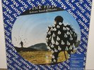 PINK FLOYD DELICATE SOUND OF THUNDER PICTURE DISC LP / RECORD BRAZIL PROMO