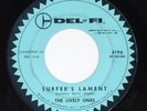 SURF INSTRUMENTAL 45 : Lively Ones - 