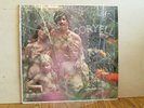 33 RPM - Larry Coryell - 1969 - Vanguard Apostolic - Fusion Jazz - Record Album