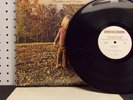 THE ALLMAN BROTHERS BAND Brothers and Sisters (1973) Vinyl LP VG++ (EX)