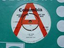Downliners Sect - I Got Mine 1965 UK 45 DEMO