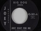 R&B/Doo Wop 45 BIG DOG Just Wait for Me JOEY HEAR