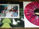 HOFX NOFX 12