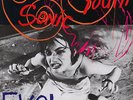 Sonic Youth vinyl LP album record Evol UK BFFP4 BLAST FIRST 1986