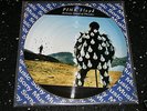 Pink Floyd - Delicate Sound Of Thunder - Picture Disc