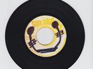 SUN SHOT/MONEY IS THE ROOT OF ALL EVIL  -  HORACE ANDY   ( REGGAE 7