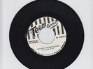 TEEM RECORDS/MADNESS CAN BE GLADNESS -  THE SOCIAL EVILS   ( REGGAE 7