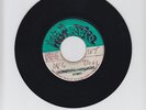 HOT SPICE/UNKNOWN SCORCHER  -  BOBBY ELLIS   ( INST  7
