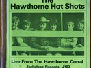 Beach Boys - The Hawthorne Hot Shots - 2 Limited Edition 33 1/3 7 Inch Records