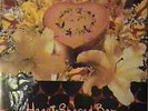 NIRVANA Heart Shaped Box  RARE Un-Played PROMO ONLY 12