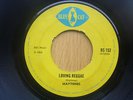 MAYTONES. Loving Reggae / ROY SAMUEL. Musical Beat. 1969 Original.UK BLUE CAT 45