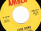 GARAGE 45 RPM - THE WHAT-NOTS on AMBER RECORDS