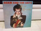 ADAM AND THE ANTS LP SEALED PRINCE CHARMING NEW WAVE BOW WOW WOW SLITS FIXX 1981