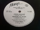 JUNIOR DELGADO - HANGING TREE KILLER DIGI ROOTS 12