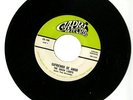 THE GREEN LIGHTS TONY HERNANDEZ   CAPRI 144   Tejano TexMex Latin 45