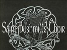 SAINT BUSHMILLS CHOIR - SAME LP (2004) US FOLK-PUNK, THE POGUES, FLOGGING MOLLY