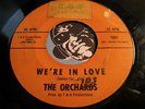 ORCHARDS (Orchids) Rare Girl Group Belgian Popcorn 45 T&K We’re In Love Missed