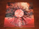PELICAN - WHAT WE ALL COME TO NEED VINYL LP/700 uncle acid,neurosis,converge