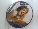 Metallica Picture Disc - No remorse