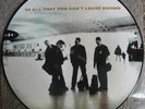 U2 - ALL THAT YOU CAN'T LEAVE BEHIND - US PROMO PICTURE DISC