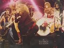 NEW YORK DOLLS 'Too much too soon' Signed by Johnny Thunders / Jerry Nolan PUNK