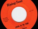 The Fidelics : 60's Group Soul 45 on Rising-Soul 
