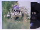 Blades of Grass Are Not For Smoking Sunshine Pop Psych Soft Rock