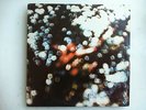 Pink Floyd Obscured By the Clouds LP