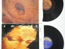 Catherine Wheel Ferment + James Gold Mother Fontana LP bundle