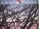 A BLAZE COLOUR:AGAINST THE DARK TREES BEYOND 12