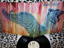AMON  DUUL  II -WOLF-CITY-UNITED ARTIST-UAS 29046 -K 0983-GERMANY-LP 33GIRI 12