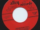 Rare Arkansas Garage Psych 45 PURPLE CANTEEN 'Brains in My Feet' Alley Listen