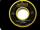 STARLARKS VERY RARE DARLING PLEASE LOVE ME ASTRA THE RAT OUT OF PGH DOO WOP 45