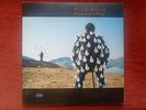 Pink Floyd  Delicate Sound of Thunder 2 LP HUNGARY edition EX+