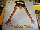 Funk Soul Psych LP FUNKADELIC free your mind Original Gatefold Westbound 2001