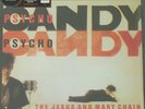 JESUS & MARY CHAIN - PSYCHO CANDY LP - 2013 RECORD STORE DAY, LTD COLOURED VINYL