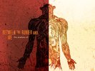 RSD Between The Buried And Me The Anatomy Of 12