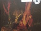Echo and The Bunnymen Crocodiles Double Red Vinyl LP record store day 2013