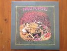 Meat Puppets 1st LP RED VINYL  punk hardcore HC KBD indie US