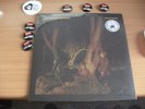 Record Store Day 2013 RSD Echo And the Bunnymen Crocodiles Ltd Edn LP