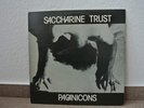 Saccharine Trust, Pagan Icons, SST, Hardcore, Punk