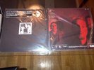 MAD SEASON Above LP Deluxe Vinyl 180 gram RSD 2013 Limited RARE