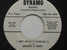 Northern Soul 45 - Brooks & Jerry - I Got What It Takes - Dynamo - mp3