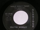 WAYNE WORLEY & THE WORLEY BIRDS 