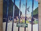 Tame Impala - Lonerism Vinyl LP *** Signed Copy ***